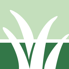 Strive Commercial Lawn Care