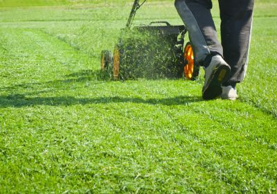 Lawn Mowing and Trimming for the Commercial Property!