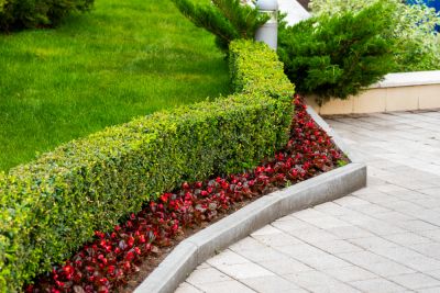 Trimming Shrubs of the Commercial Property!